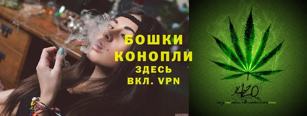 винт Пересвет