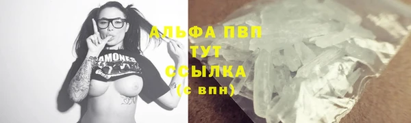 винт Пересвет