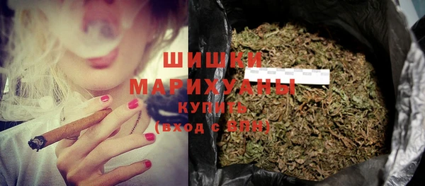 винт Пересвет