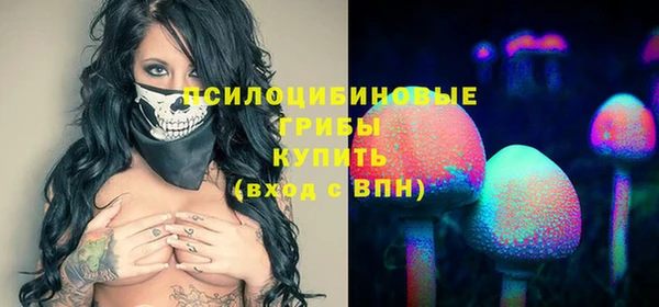 винт Пересвет