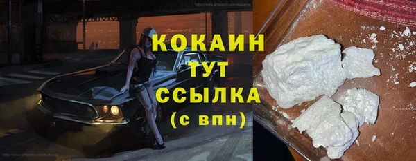винт Пересвет