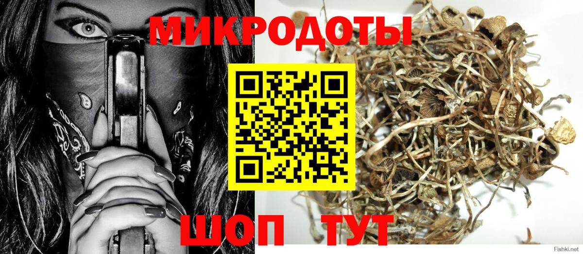 Псилоцибиновые грибы Cubensis  Галлюциногенные грибы Cubensis  Аша 