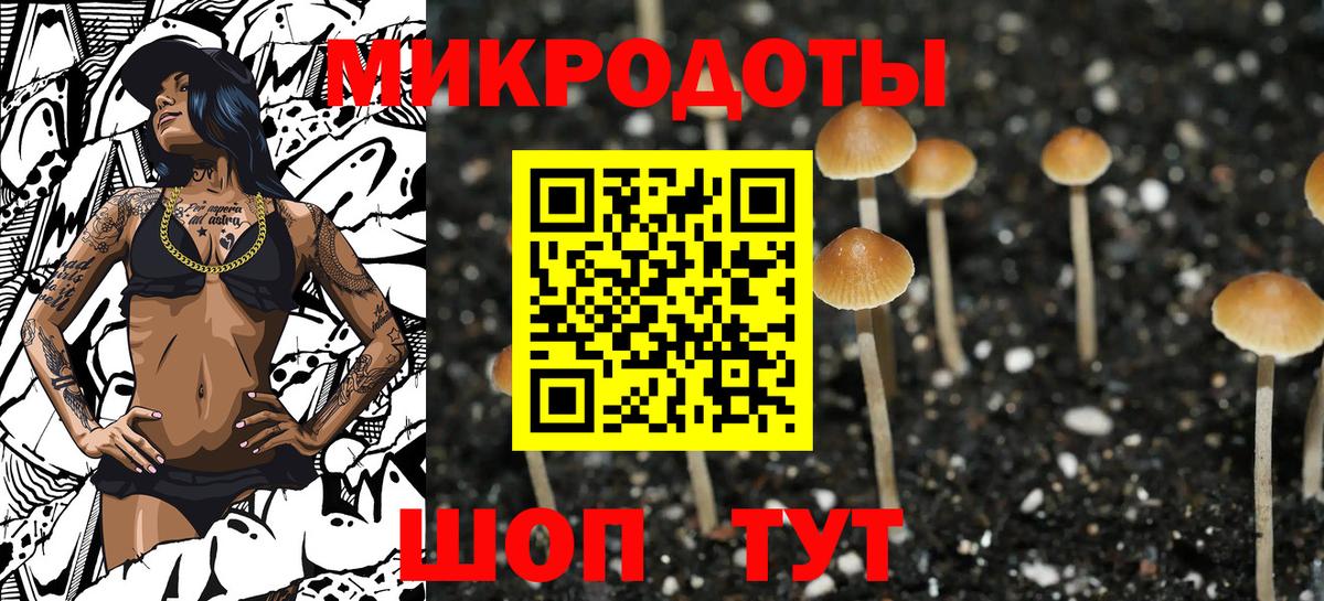 Псилоцибиновые грибы мицелий Аша