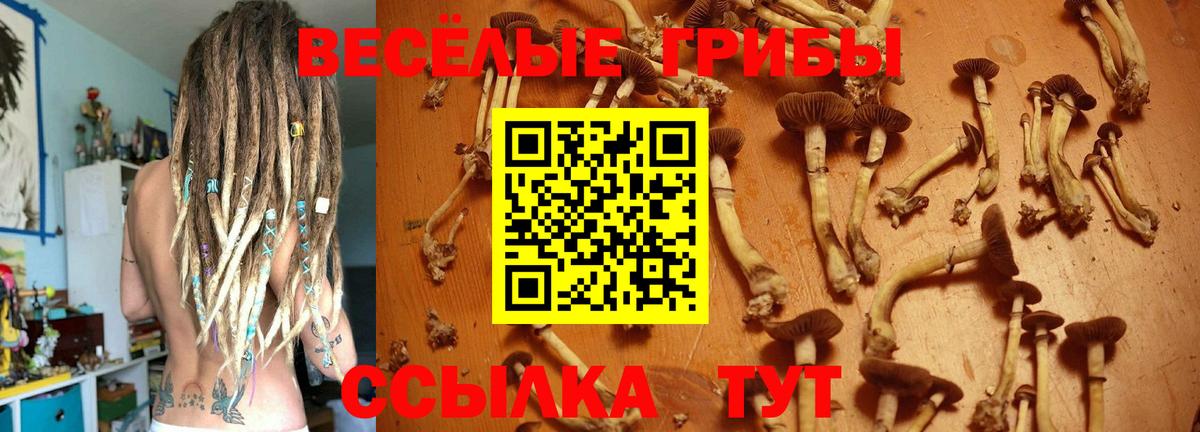 Галлюциногенные грибы Psilocybe  Вход с VPN  Галлюциногенные грибы GOLDEN TEACHER  Аша 